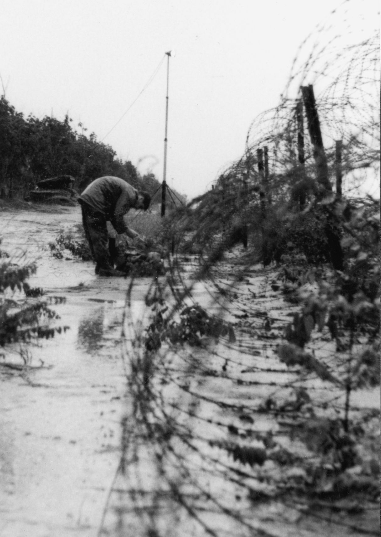 Setting out a claymore mine